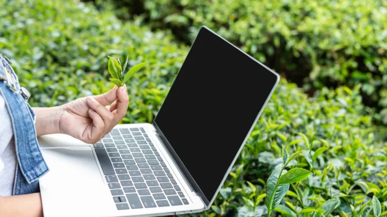 o que é conteúdo evergreen